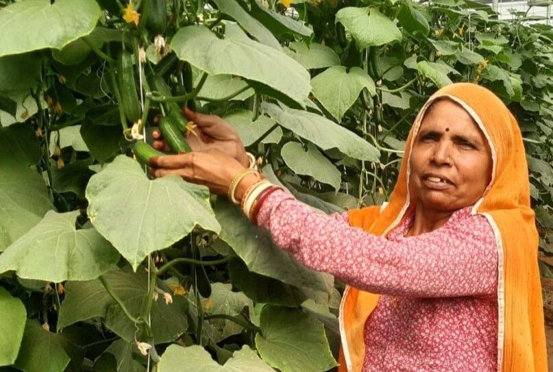 Ambuja Cements Empowers Rajasthan’s Farmers With Water-Efficient Solutions To Triple Their Incomes